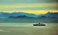 cruise tips