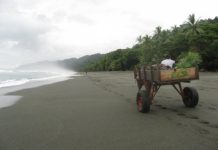 Travel Photo, Image of Carate, Corcavado Rainforest, Costa Rica