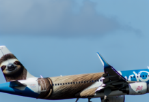 Frontier Jet with Beloved Costa Rican Sloth Lands in San José