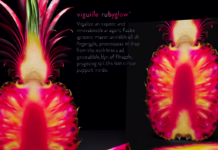 Costa Rica Cultivates Dazzling Rubyglow Pineapple